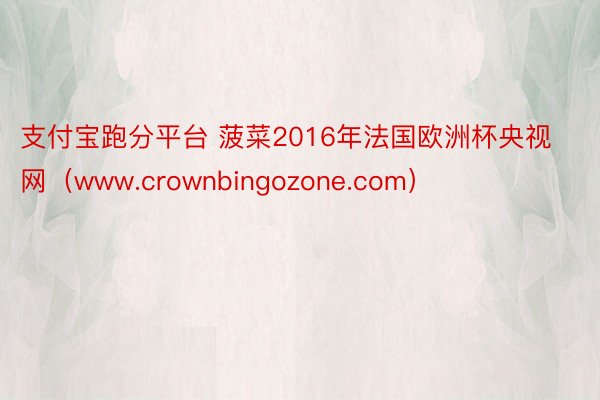 支付宝跑分平台 菠菜2016年法国欧洲杯央视网（www.crownbingozone.com）