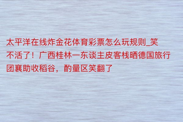 太平洋在线炸金花体育彩票怎么玩规则_笑不活了！广西桂林一东谈主皮客栈晒德国旅行团襄助收稻谷，酌量区笑翻了