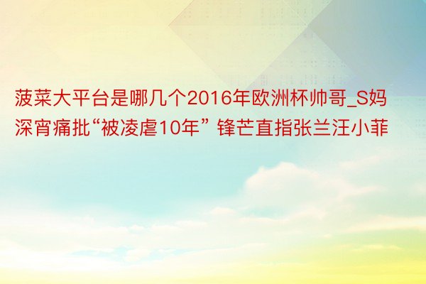 菠菜大平台是哪几个2016年欧洲杯帅哥_S妈深宵痛批“被凌虐10年” 锋芒直指张兰汪小菲